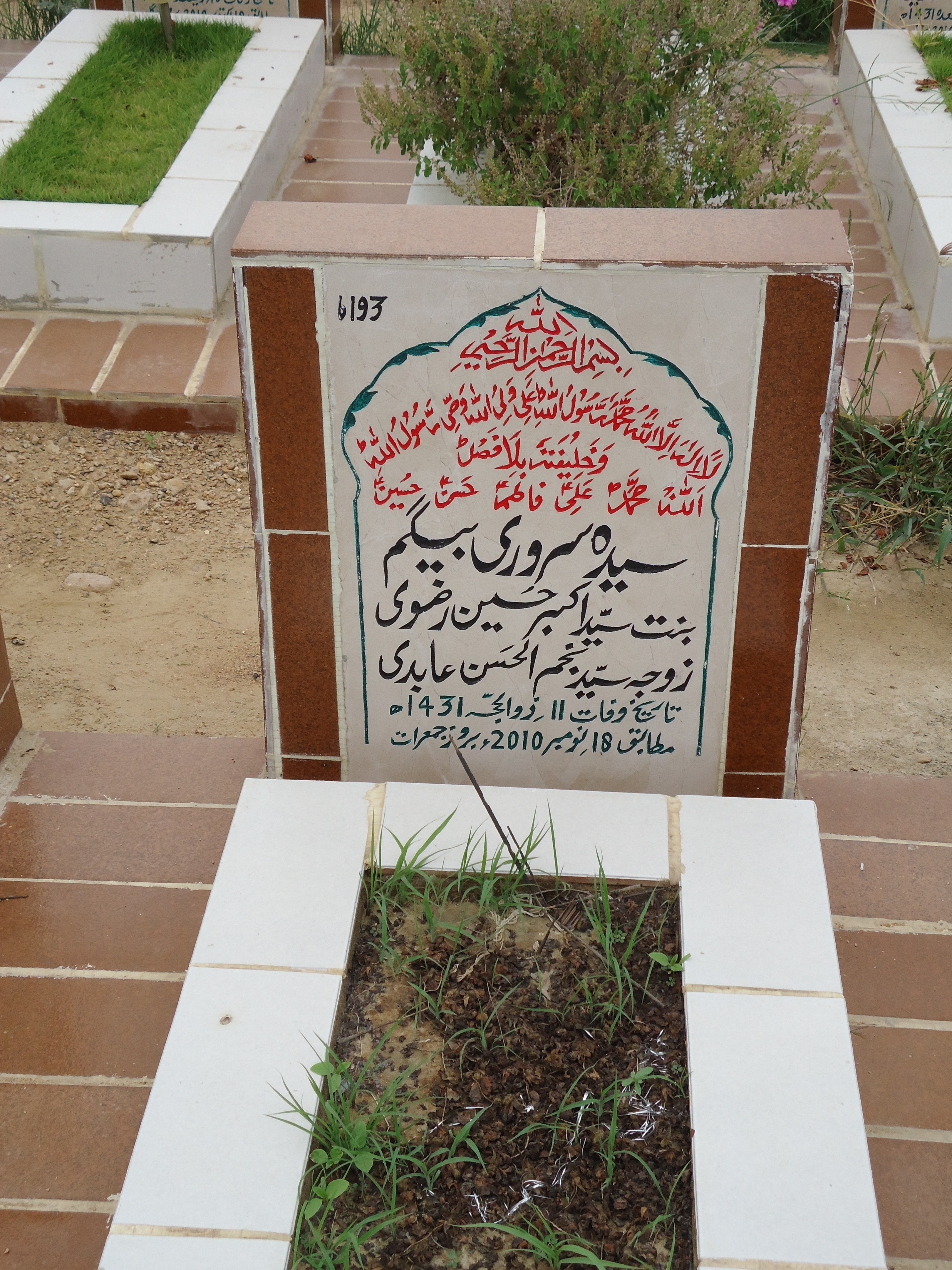 6193 – Syeda Sarwari Begum